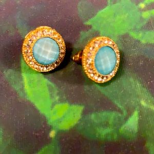 Fashion accessories pair earrings